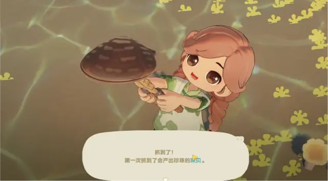 星布谷地退潮时间一览 星布谷地赶海玩法解析图片