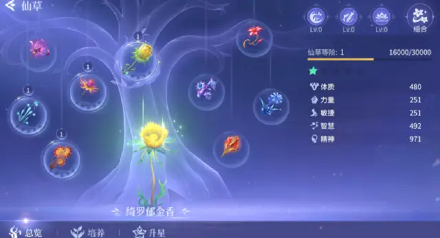 斗罗大陆诛邪传说仙草采集点在哪 斗罗大陆诛邪传说仙草采集路线图片