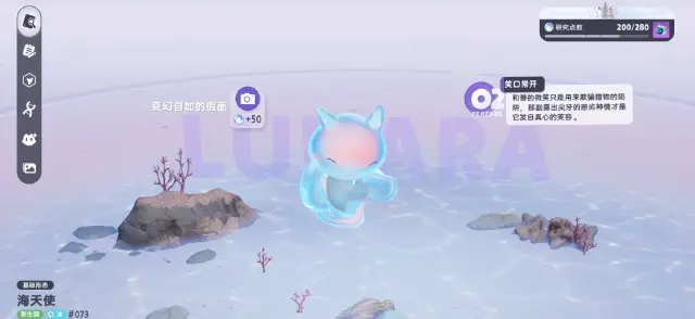 伊莫海天使怎么样 伊莫海天使介绍图片