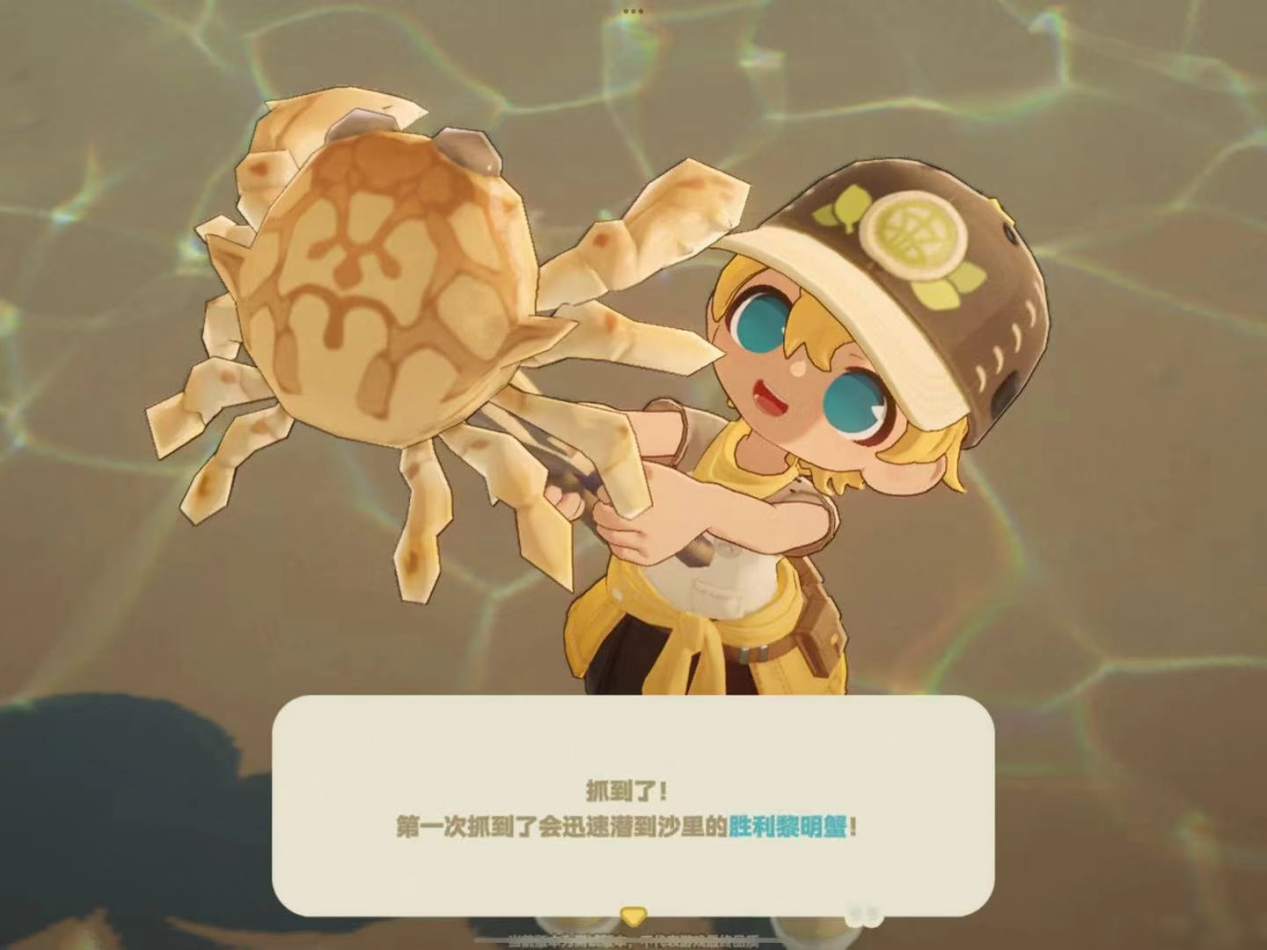 dd486f9a5a14a0eaa8cfd7af0a6a753e