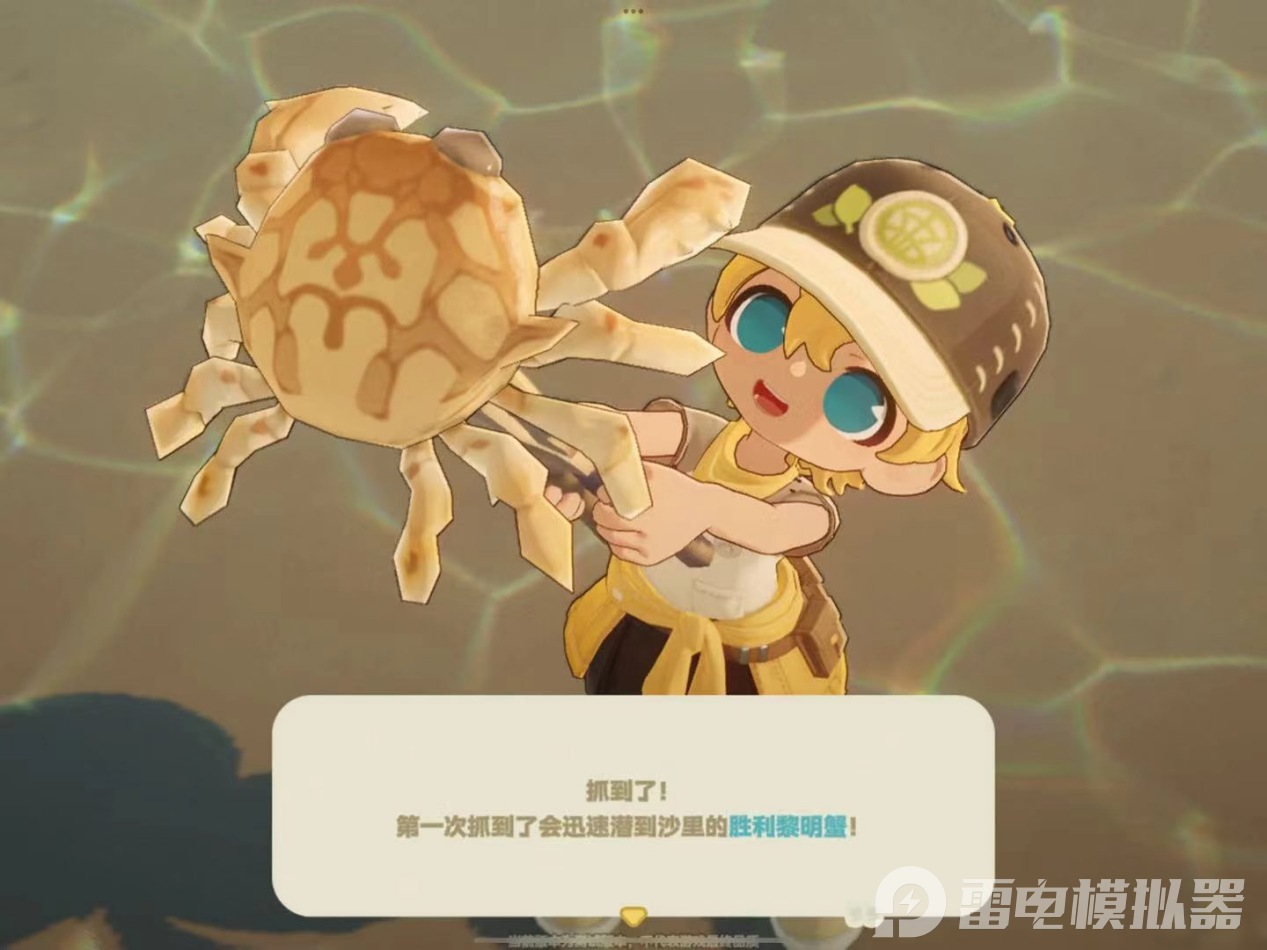 dd486f9a5a14a0eaa8cfd7af0a6a753e