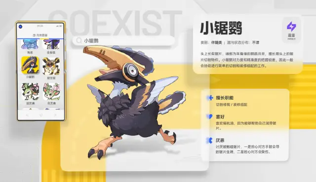望月小锯鹦怎么样 望月小锯鹦介绍图片