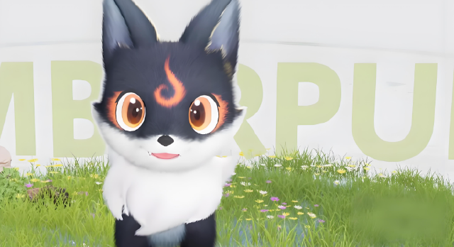 伊莫小炭犬怎么样 伊莫小炭犬介绍图片