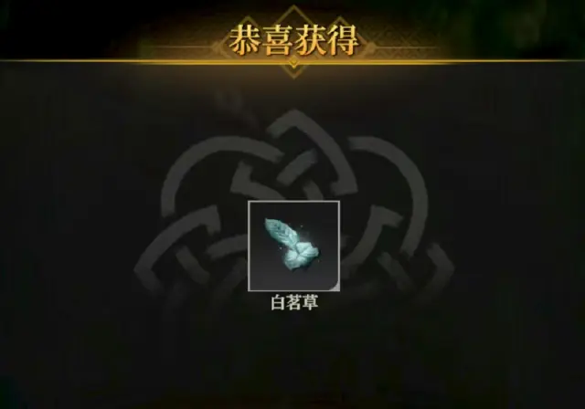 地下城堡4白茗草怎么获得 地下城堡4白茗草在哪图片