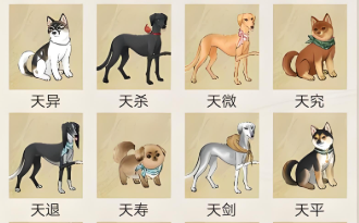 如何在華夏千秋靈犬閣找狗 華夏千秋靈犬位置分享