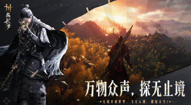 燕云十六声唐横刀怎么玩 新武器唐横刀玩法介绍图片