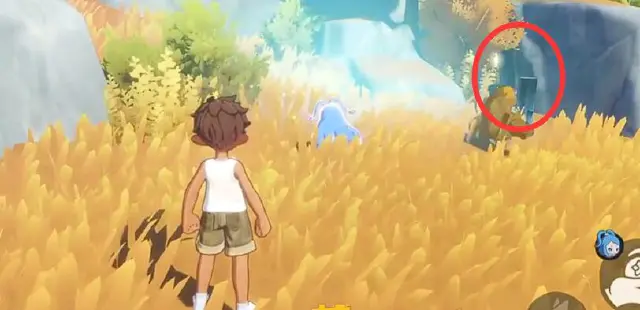 洛克王国世界家园好玩吗 洛克王国世界家园系统介绍图片