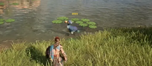 荒野起源渡渡鸟作用是什么 荒野起源渡渡鸟介绍图片