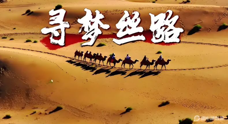 e606e8daef635d7282ea5d837251593