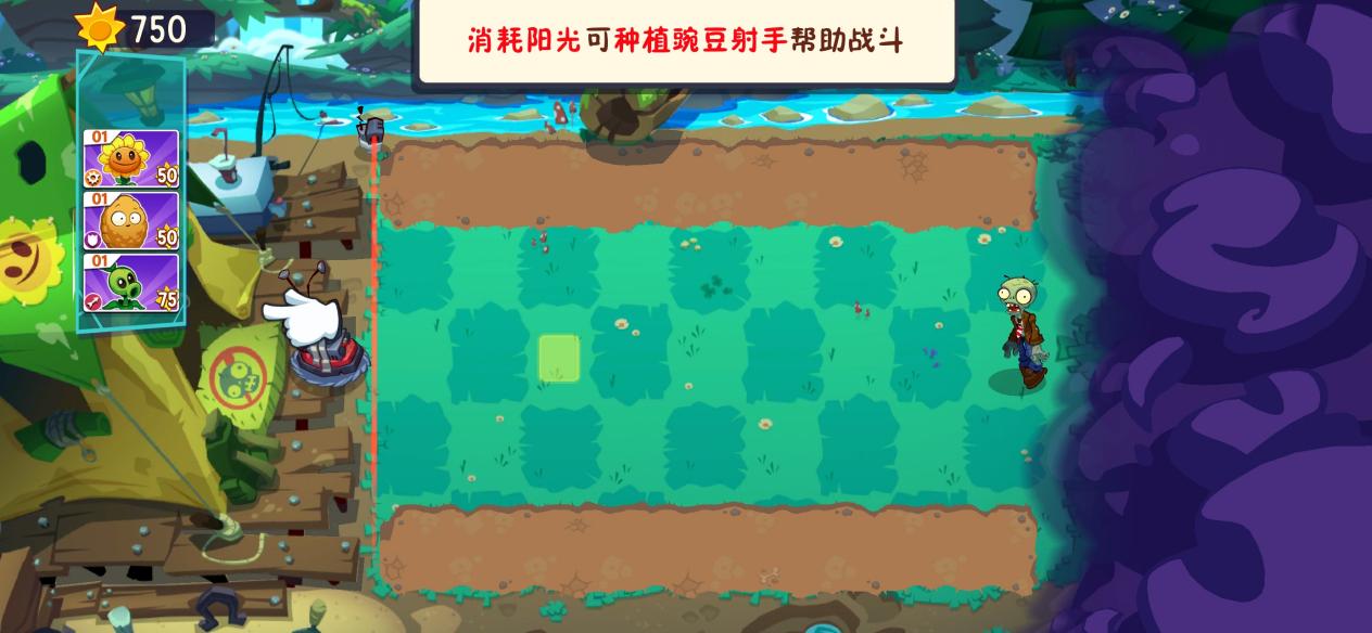 新手