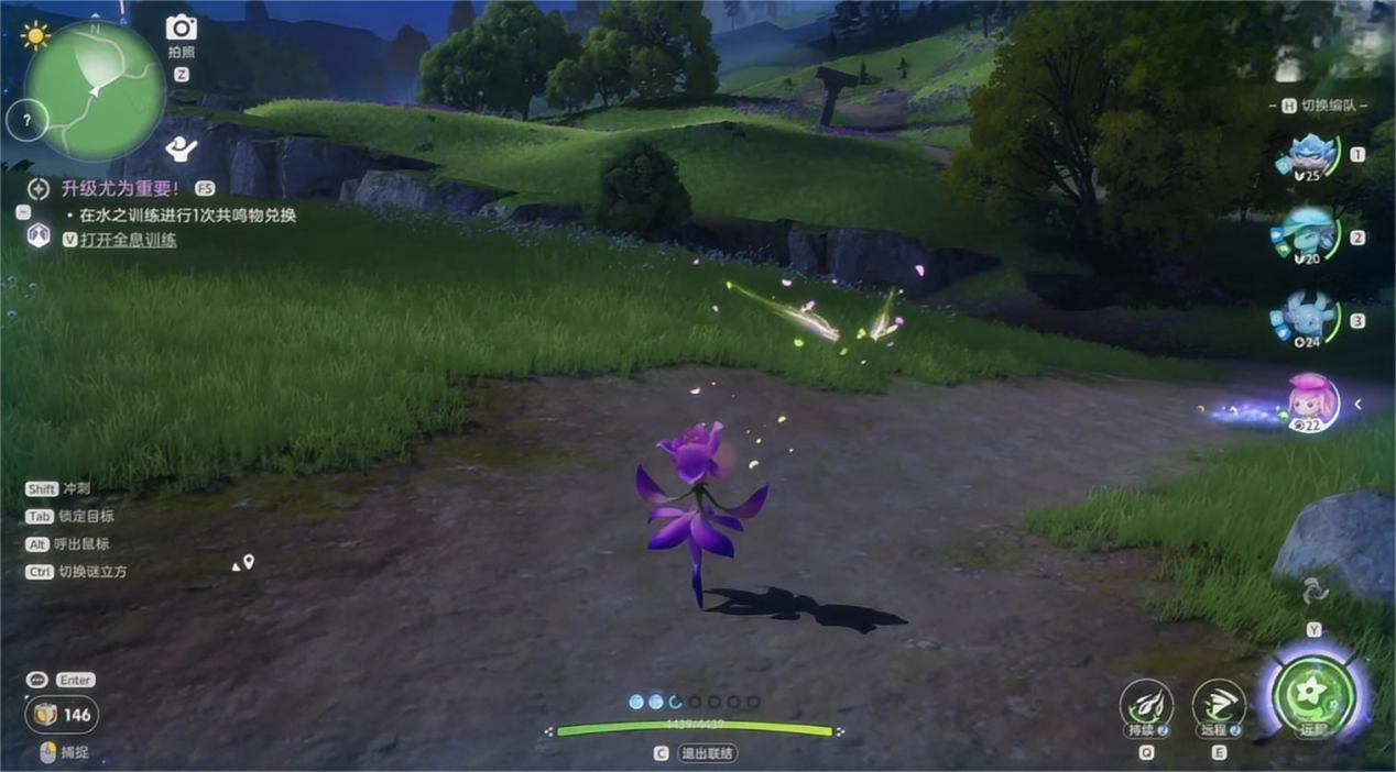 伊莫花舞兰怎么样 伊莫花舞兰介绍图片_6