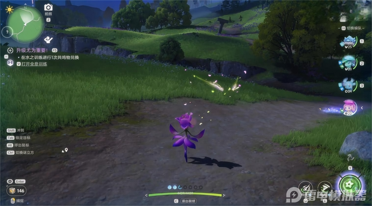 伊莫花舞兰怎么样 伊莫花舞兰介绍图片_6