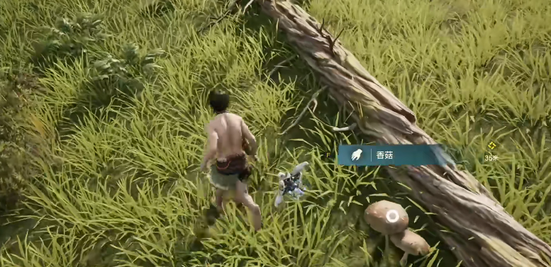 荒野起源烹饪作用是什么 荒野起源烹饪技巧介绍图片_6