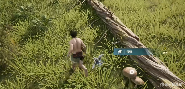 荒野起源烹饪作用是什么 荒野起源烹饪技巧介绍图片_6