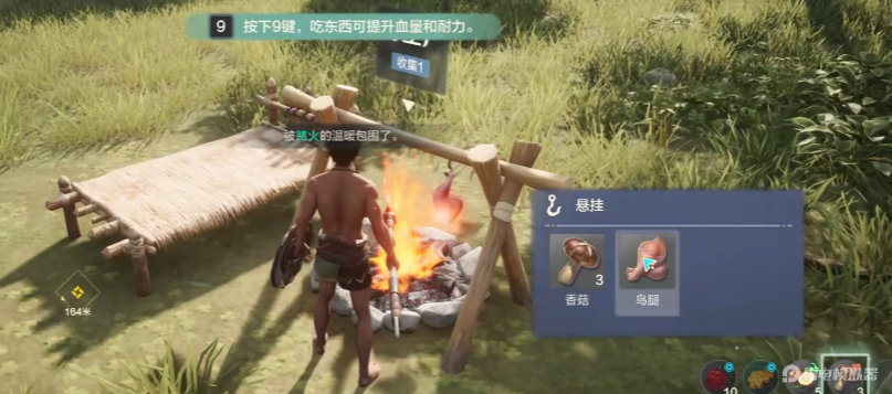 荒野起源渡渡鸟作用是什么 荒野起源渡渡鸟介绍图片_3