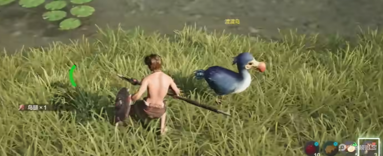 荒野起源渡渡鸟作用是什么 荒野起源渡渡鸟介绍图片_4