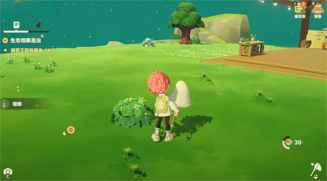 星布谷地捕虫攻略 星布谷地如何捕虫图片_3