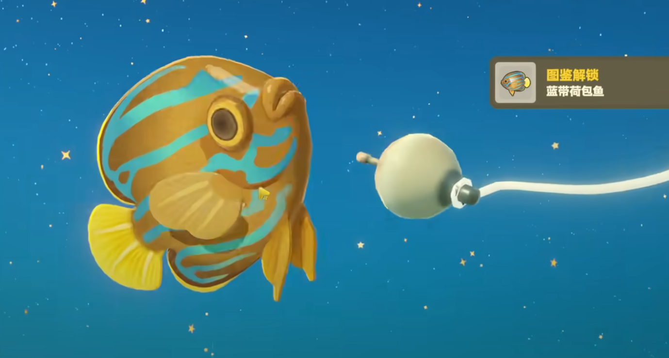 星布谷地海钓怎么玩 星布谷地海钓攻略图片_5