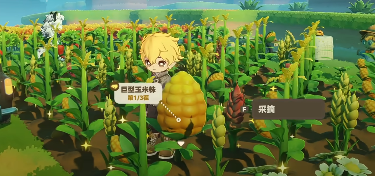 星布谷地开垦攻略 星布谷地开垦技巧分享图片_5