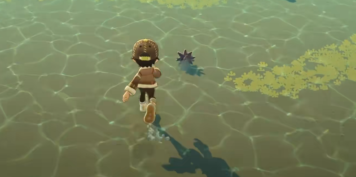 星布谷地赶海玩法介绍 星布谷地赶海技巧分享图片_1