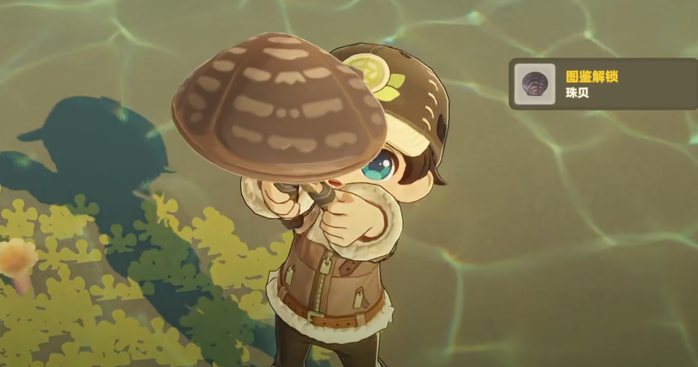 星布谷地赶海玩法介绍 星布谷地赶海技巧分享图片_3