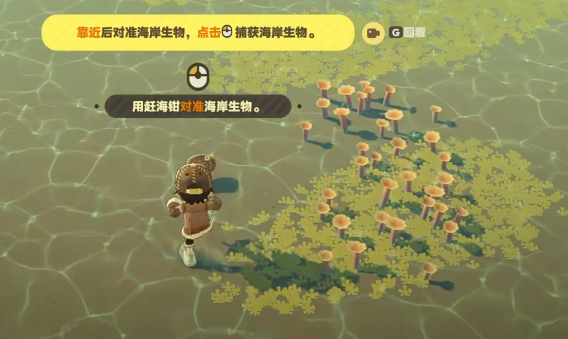 星布谷地赶海玩法介绍 星布谷地赶海技巧分享图片_4