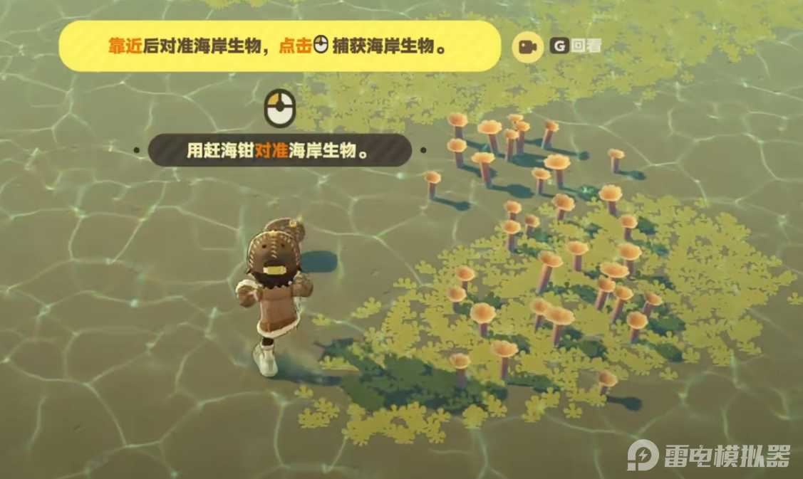 星布谷地赶海玩法介绍 星布谷地赶海技巧分享图片_4