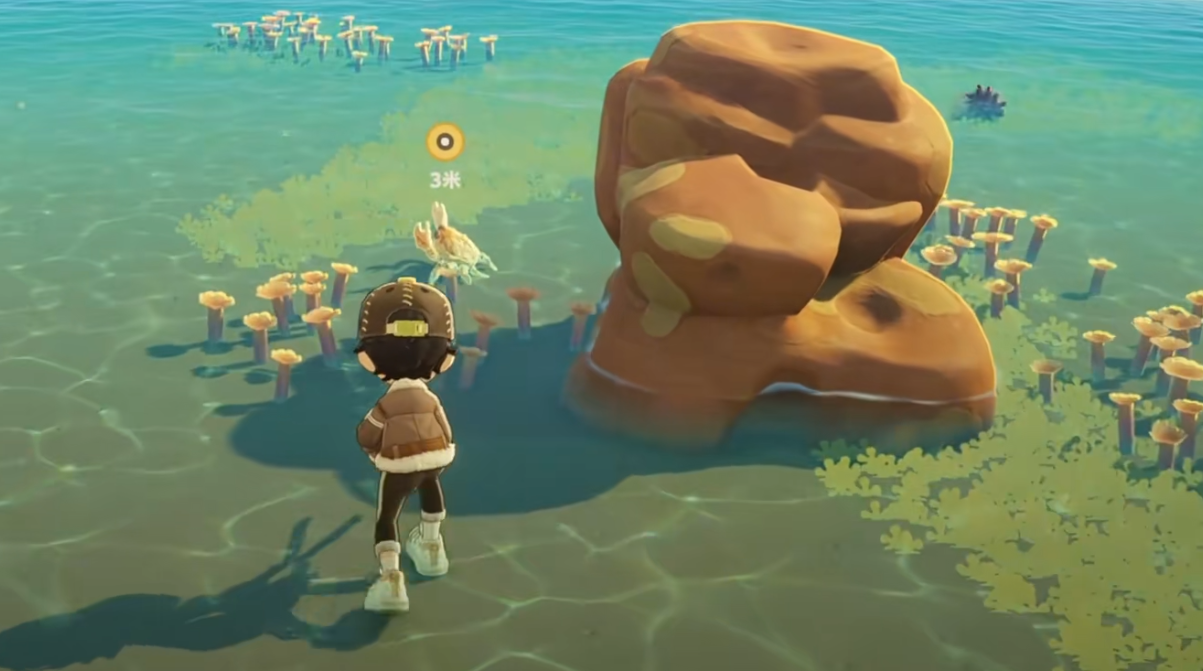 星布谷地赶海玩法介绍 星布谷地赶海技巧分享图片_5