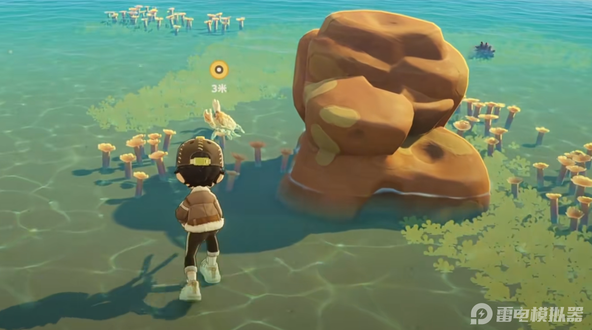 星布谷地赶海玩法介绍 星布谷地赶海技巧分享图片_5