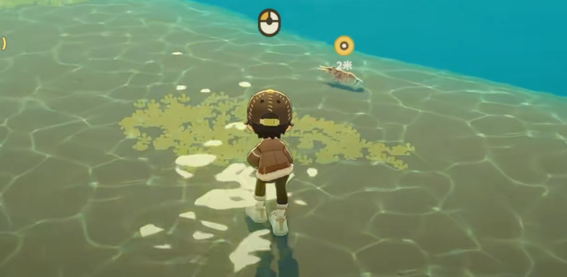 星布谷地赶海玩法介绍 星布谷地赶海技巧分享图片_7