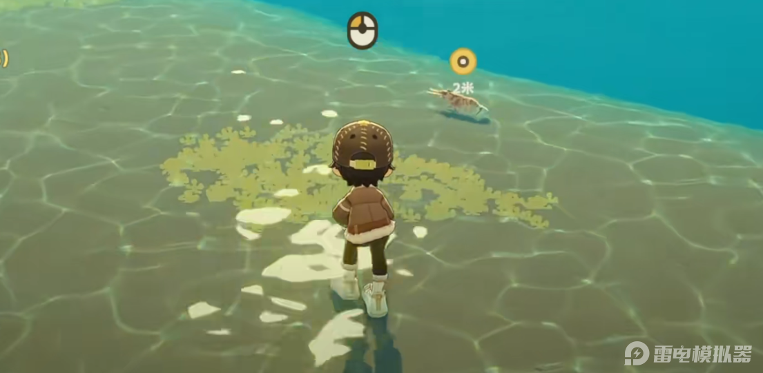 星布谷地赶海玩法介绍 星布谷地赶海技巧分享图片_7