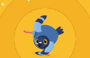 疯狂的鸽子全皮肤介绍 疯狂的鸽子全皮肤有哪些图片