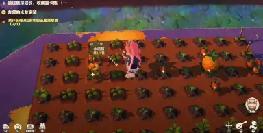 星布谷地稀有种子获取攻略 星布谷地稀有种子怎么获取图片